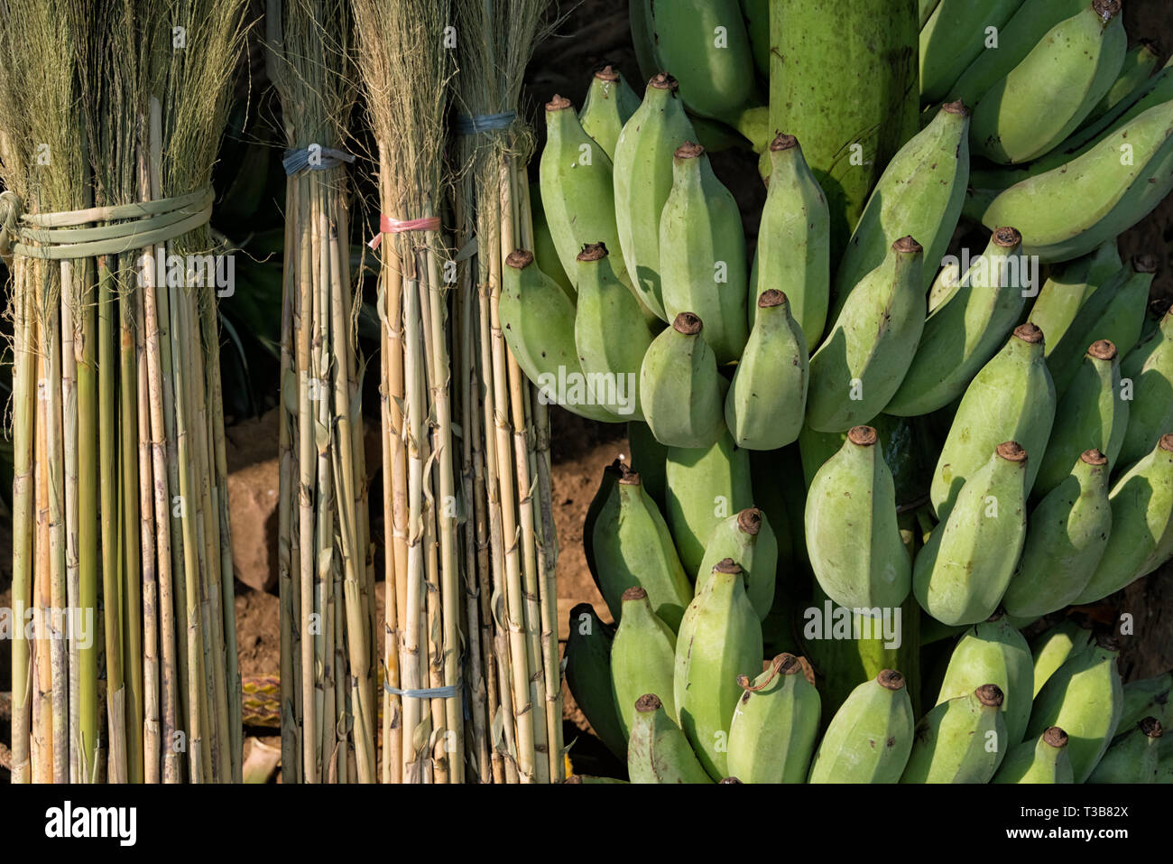 Bananen mit Ginster grass, Chimbuk Hill, Bandarban, Division Chittagong, Bangladesch Stockfoto