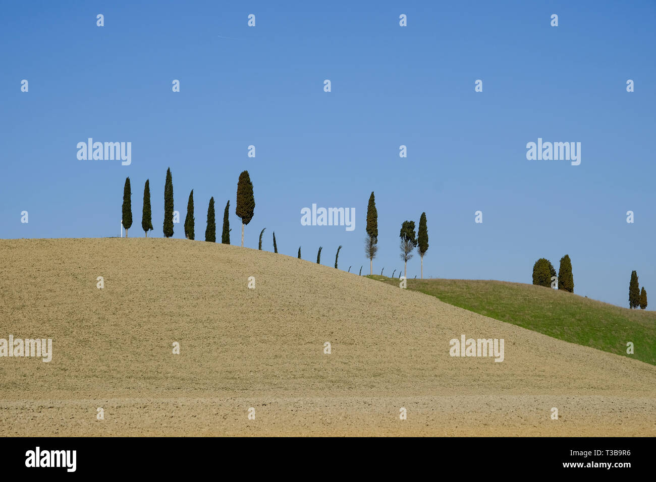 Minimalistische Landschaft Landschaft in der Toskana, Italien. Stockfoto