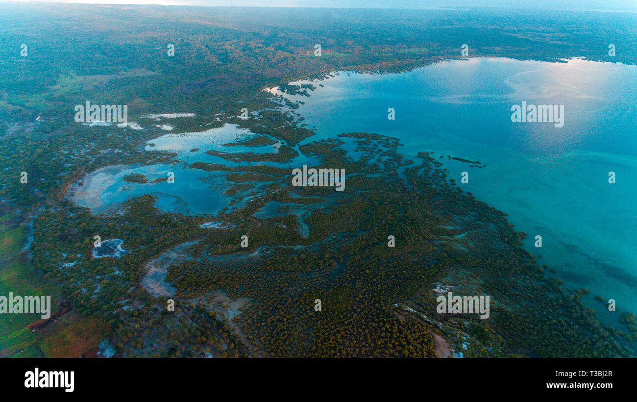 Sumpf, Mafia Island Stockfoto