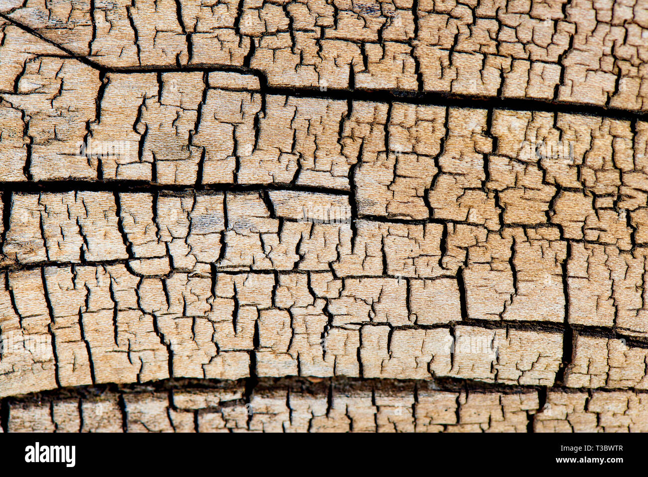 Hintergrund Textur von altem Holz mit Rissen. Stockfoto