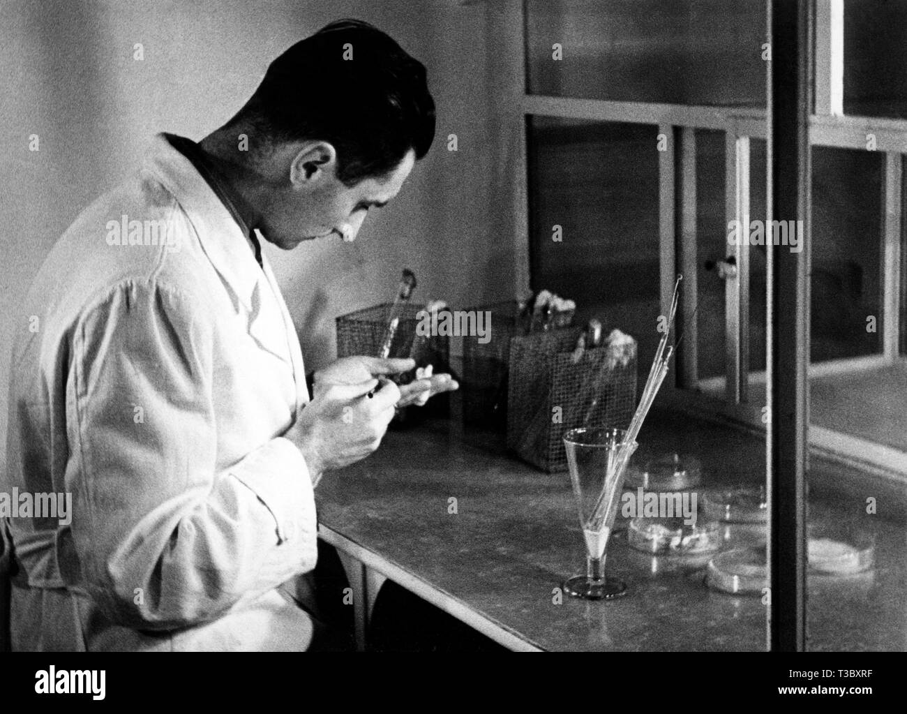 Kultur Der silkworm, Labor, 1930 Stockfoto