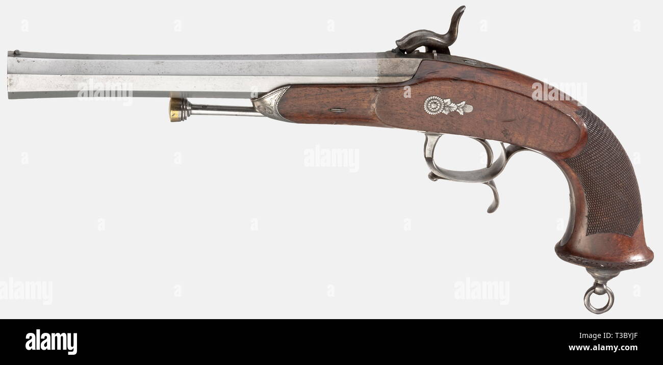 Ein paar der Modell 1833 officer Pistolen, achteckig, leicht ...