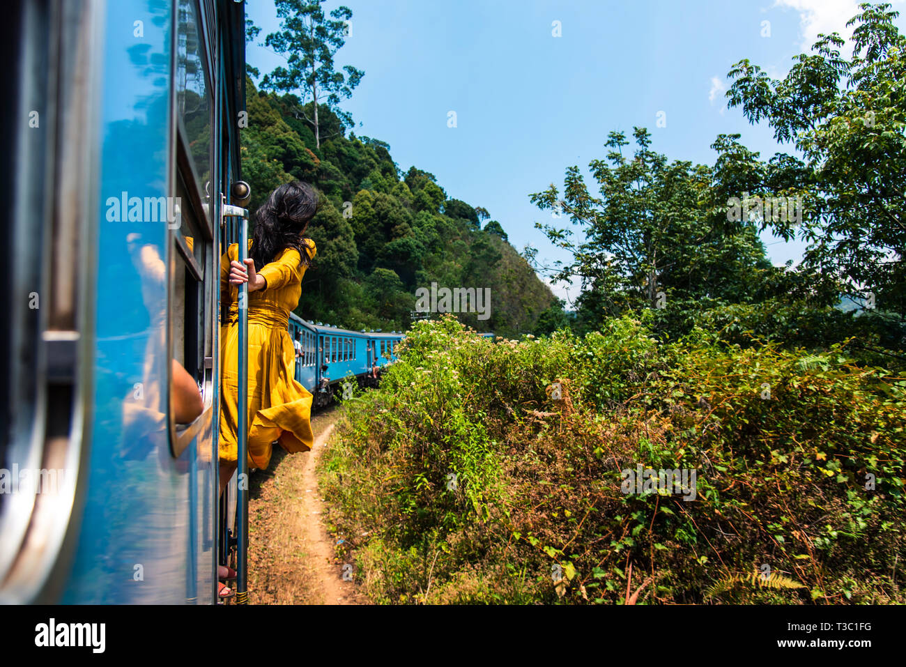 Frau genießen die Fahrt mit dem Zug durch Sri Lanka Tee Plantagen Stockfoto