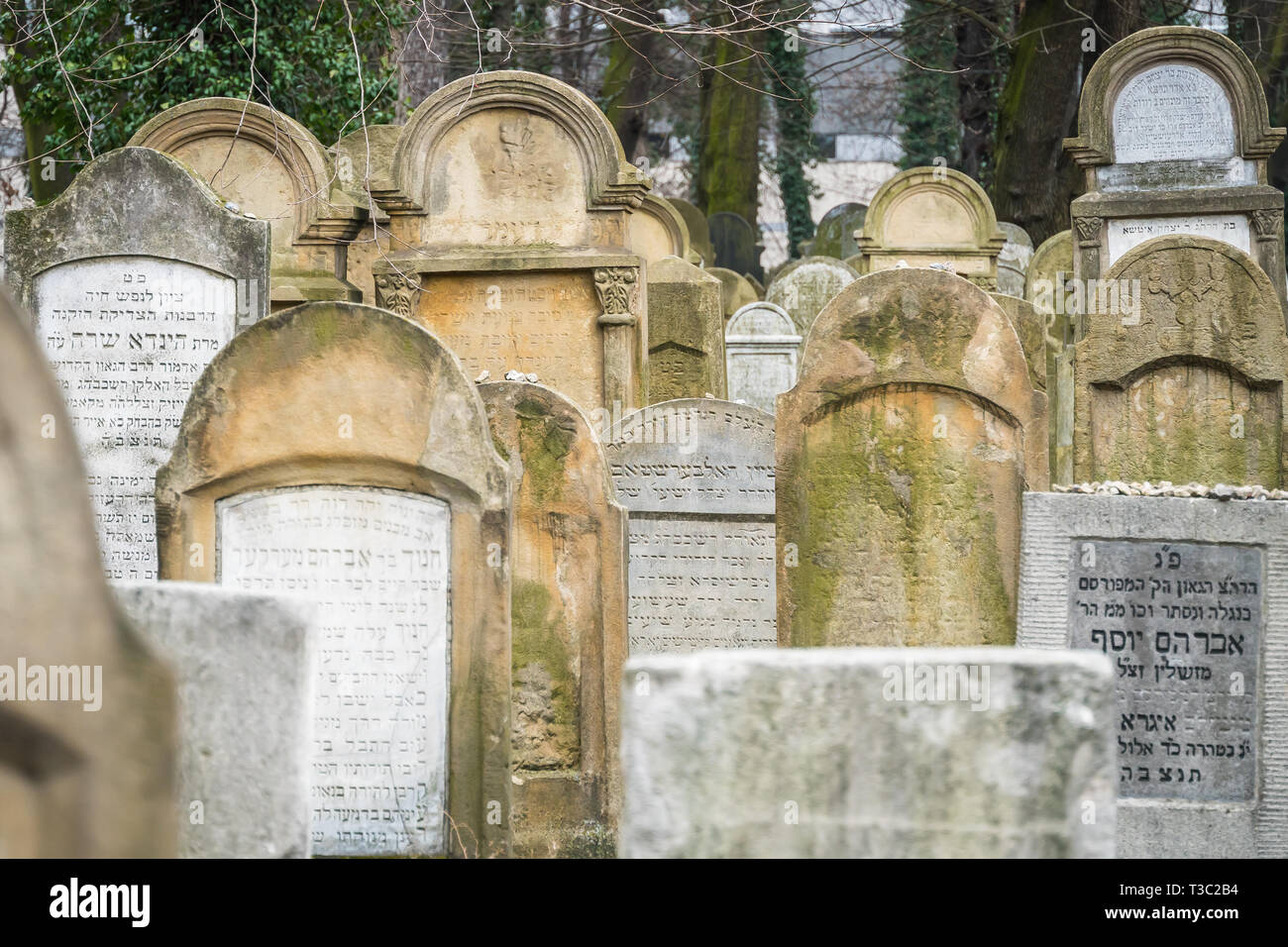 Krakau, Polen - 22. März 2019 - Grabsteine auf dem jüdischen Friedhof in Krakau, Polen Stockfoto