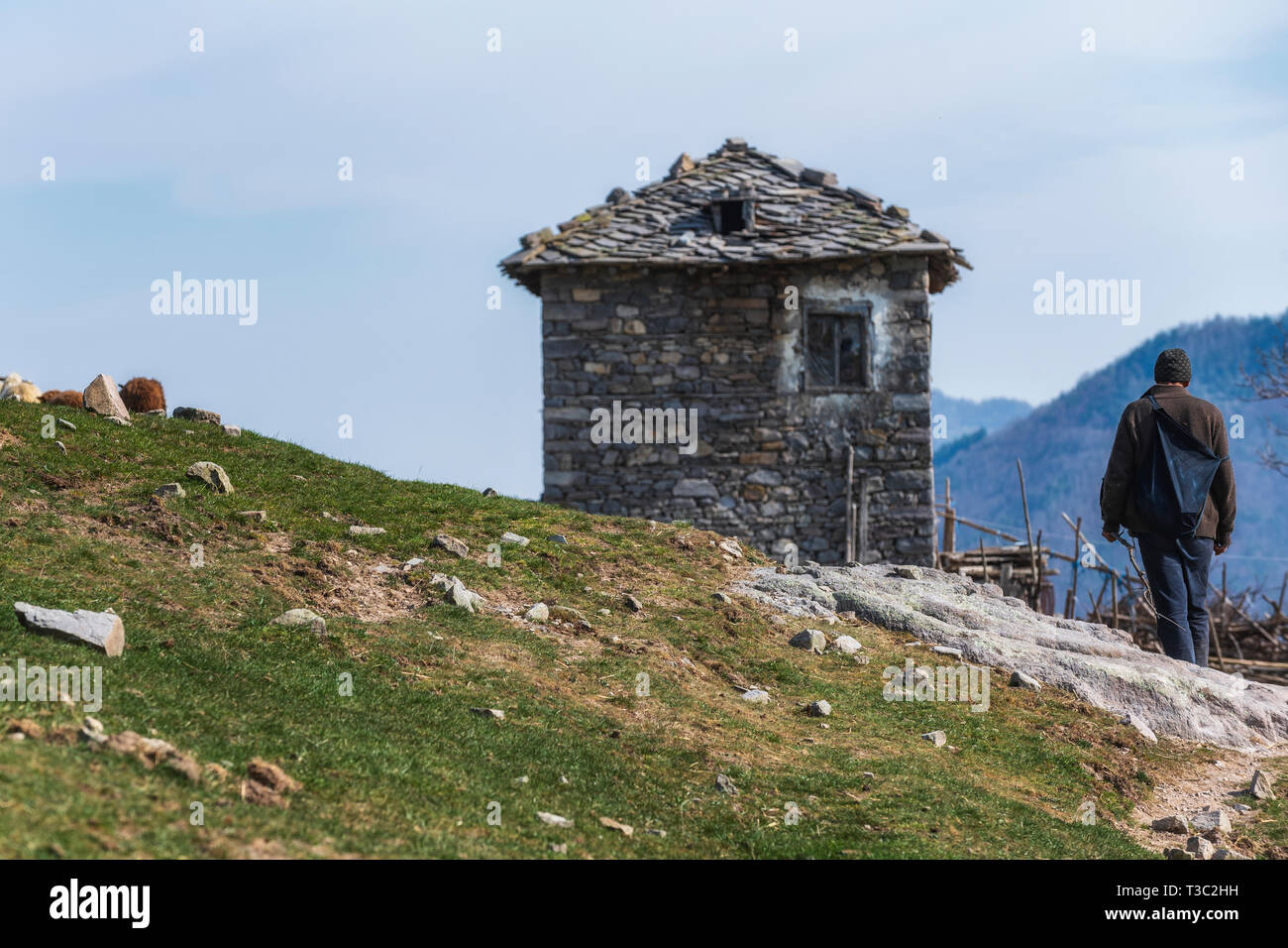 Hirten in Rhodopen Gebirge, Bulgarien. Altes Steinhaus im Hintergrund Stockfoto