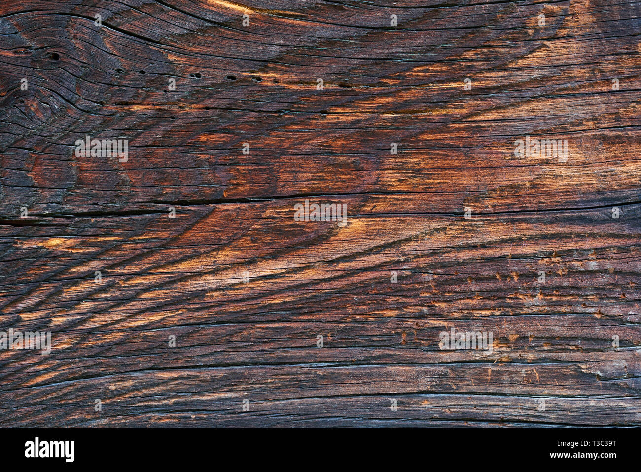 Nahaufnahme Muster der alten Eichenholz für Hintergrund oder alten hölzernen Textur. Alte Eiche für Vintage Tisch oder Möbel Textur. Mehr als hundert Jahre alt werden Stockfoto