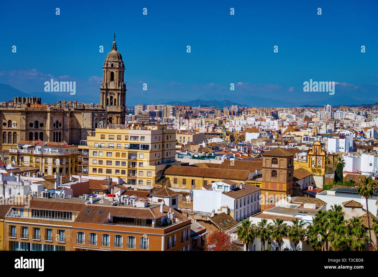 Panorama Stadtbild Luftaufnahme von Malaga, Spanien. Santa Iglesia Kathedrale Basilica von Lady der Menschwerdung und der Stadt Stockfoto