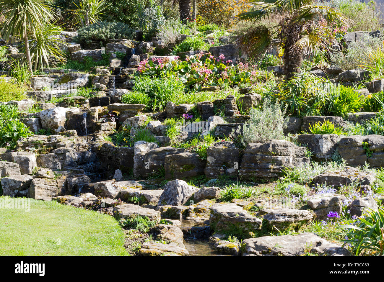 Steingarten, Pflanzen und Blumen in Bournemouth untere Gärten im Frühling. Dorset, Großbritannien Stockfoto