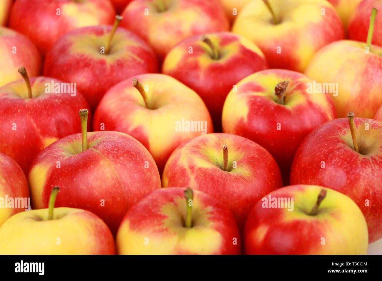 Satz frischer Rot Natur Äpfel isoliert auf Weiss - frisches rohes Obst. Stockfoto