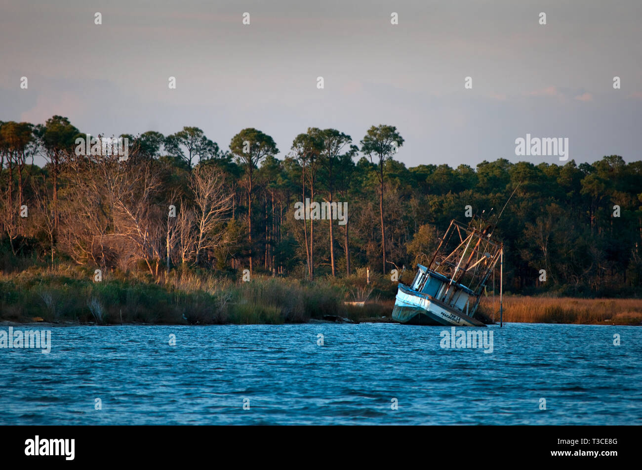 Ein teilweise eingetaucht Krabbenkutter versinkt im Wasser in der Nähe der Old State Docks im Bayou La Batre, Alabama, 04.12.2010. Stockfoto
