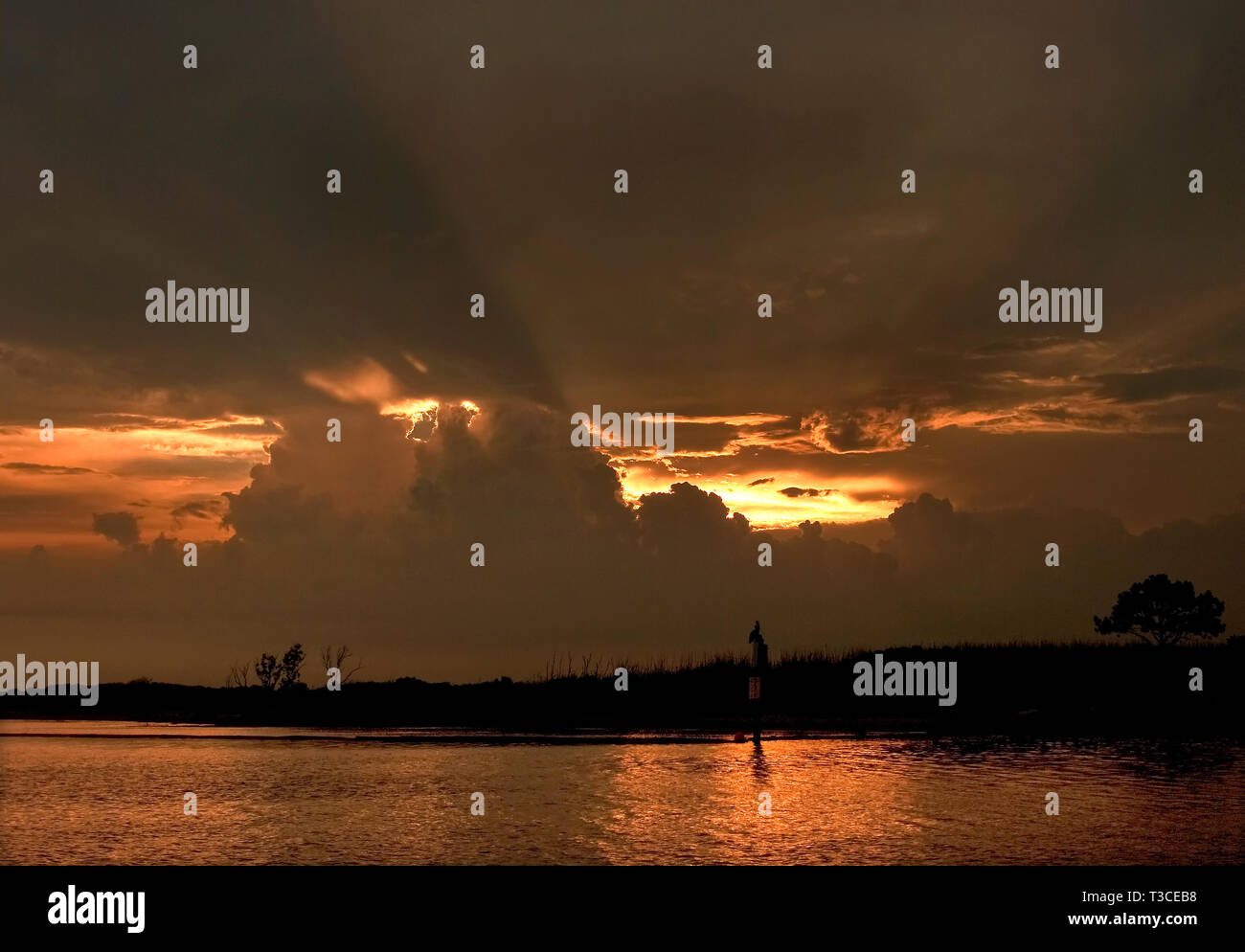 Die Sonne über dem Wasser im Bayou La Batre, Alabama, 14. Juni 2010. Stockfoto