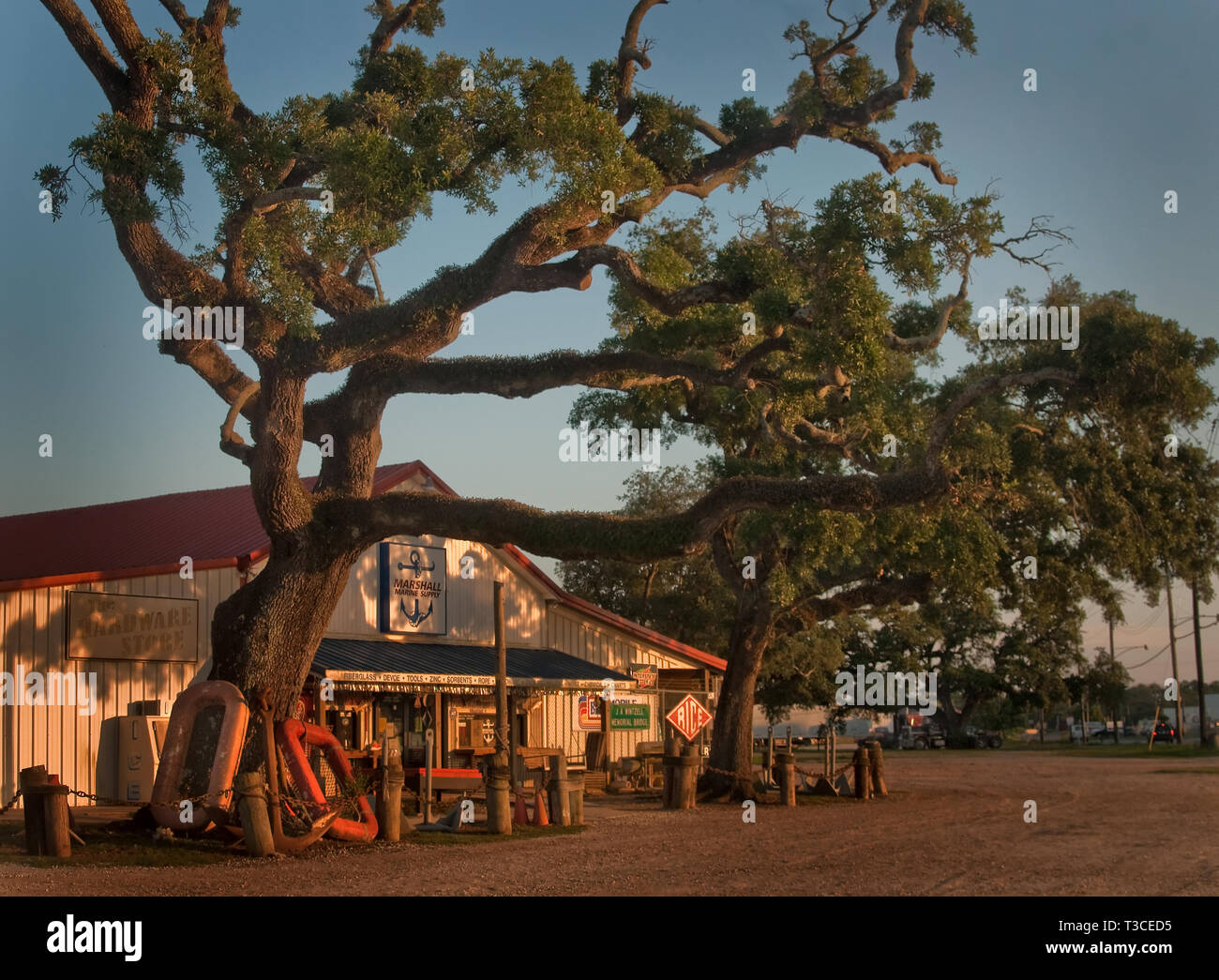 Ein live oak steht vor Marshall Marine Supply in Bayou La Batre, Ala., 3. Juli 2010. Stockfoto