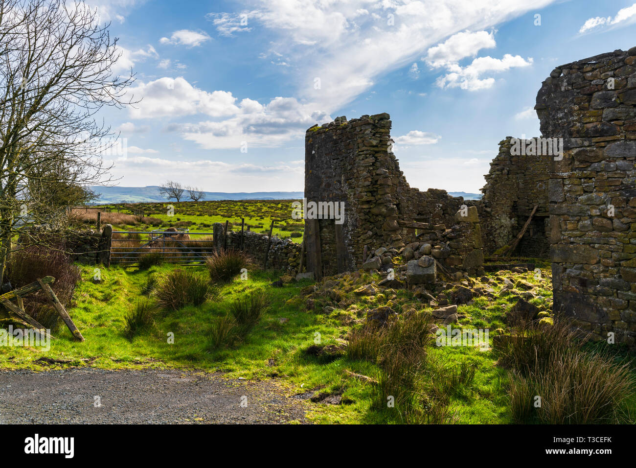 Ein Frühling Bild eines baufälligen Bauernhaus im Wald von Bowland, auf alten Karten als Laneside, Lancashire, England benannt. 06. April 2019 Stockfoto