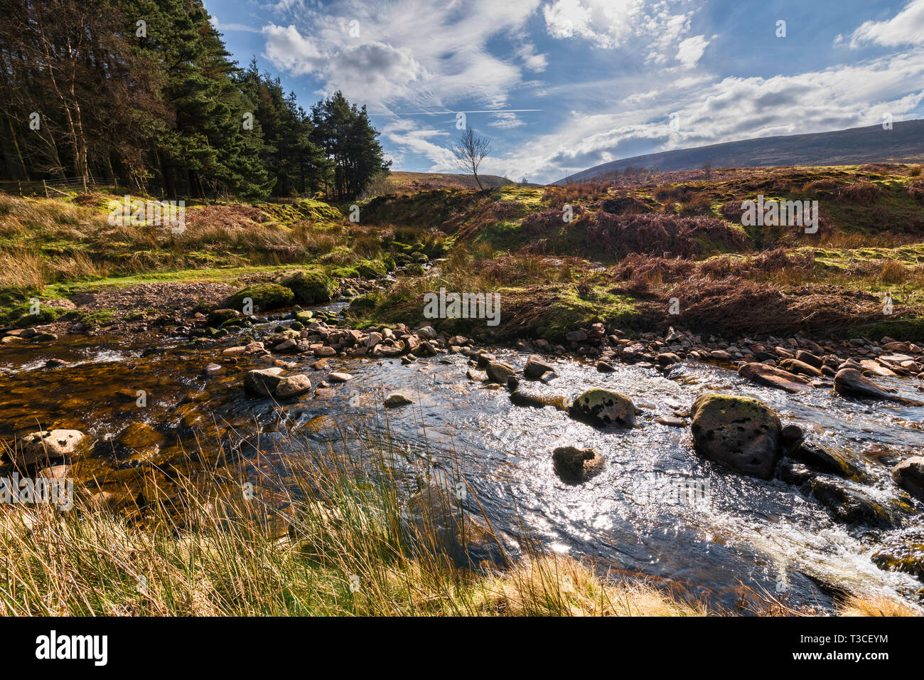 Einem Zusammenfluss von Gewässern. In der Nähe von Costy Clough Einspeisung in ein Jugendlicher Fluss Hodder, Wald von Bowland, Lancashire, England. 06. April 2019 Stockfoto