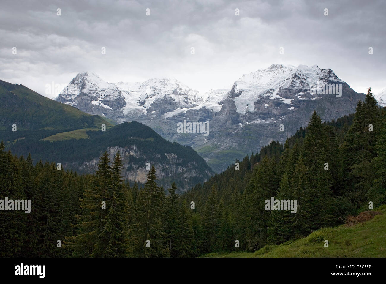 Das Jungfraumassiv und das Lauterbrunnental auf einer Alp in der Nähe von Winteregg, Berner Oberland, Schweiz Stockfoto