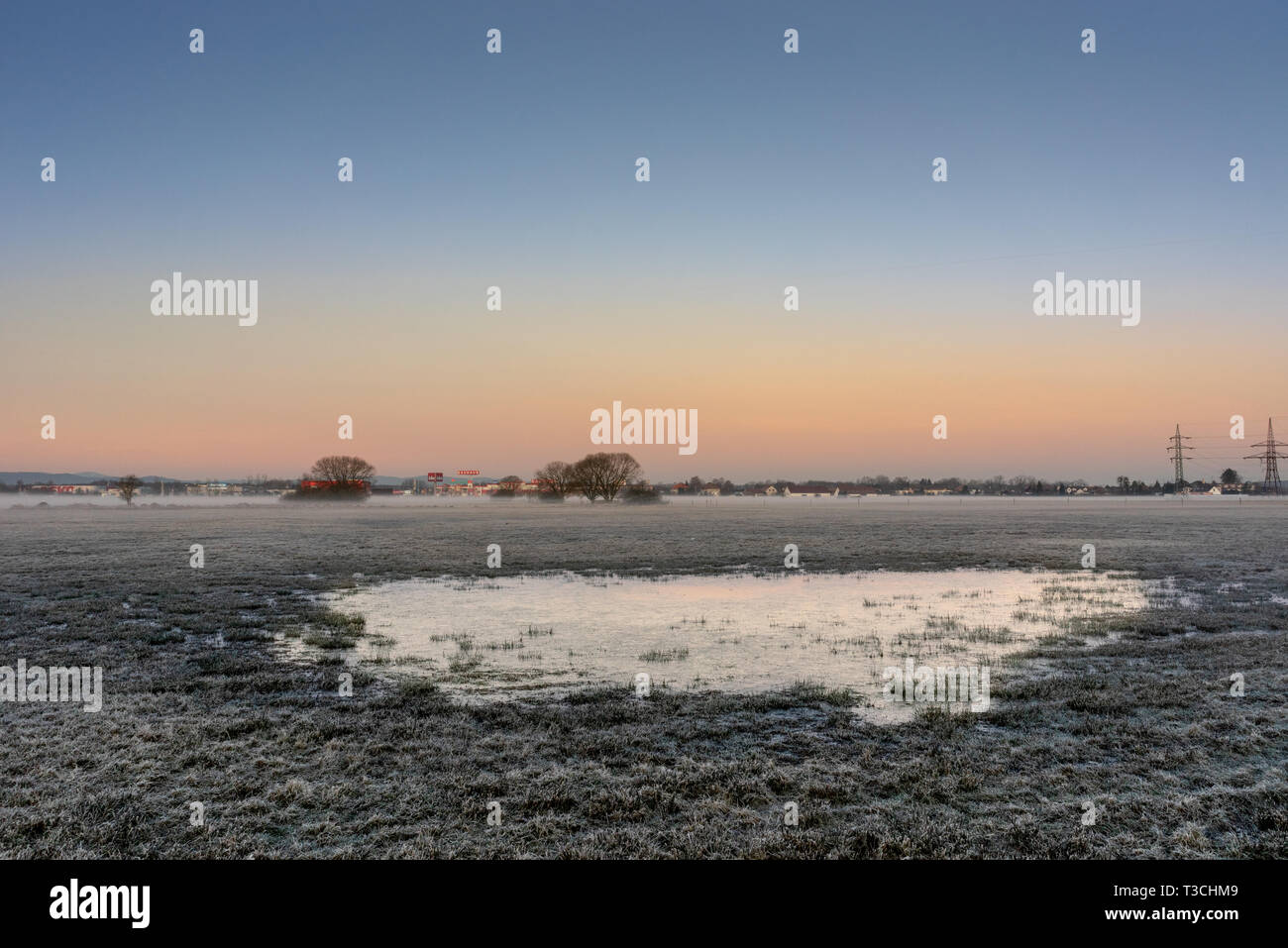 Kalter morgen im Sumpf unter den Sonnenaufgang. Stockfoto