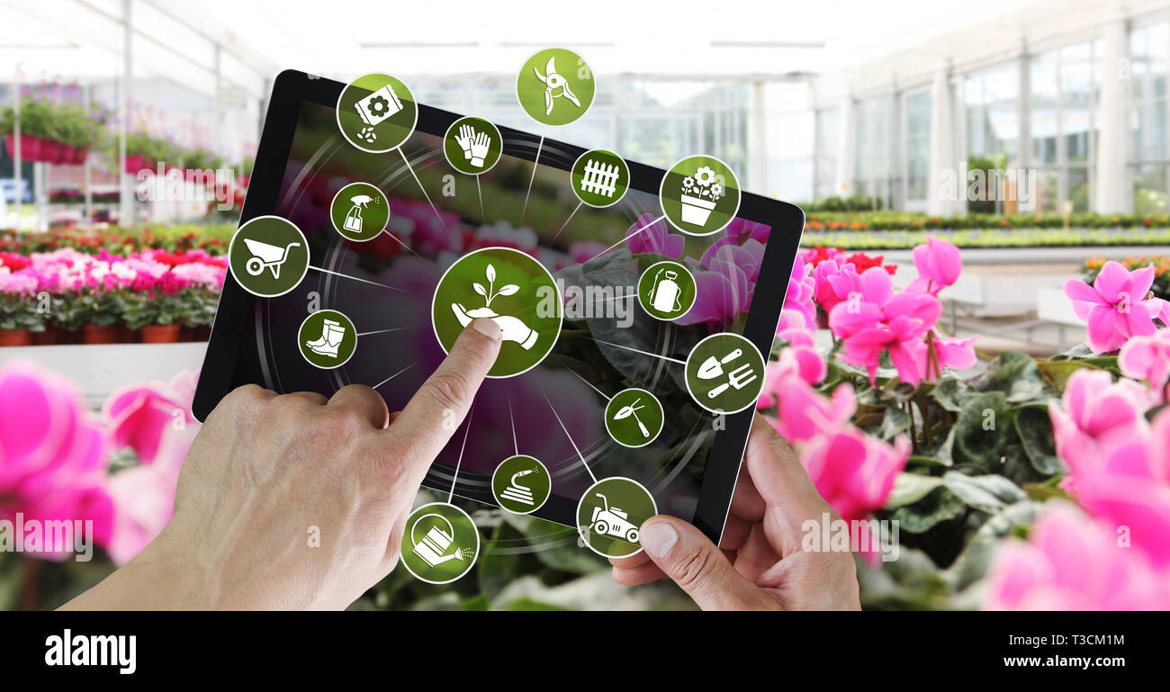 Gartengeräte e-commerce Konzept, Online Shopping auf digitalen Tablet, Zeiger und Bildschirm mit grünen Tools Symbole tippen, auf spring flower Pla Stockfoto