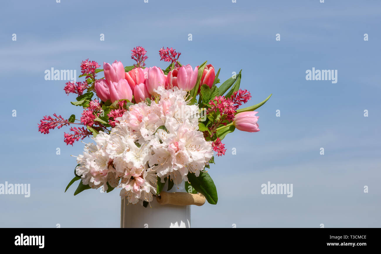 Bunten Strauß von rosa und weißen Blumen mit Tulpen, weiß Rhododendron blüht und weigela an einem sonnigen Tag mit blauen Himmel Stockfoto