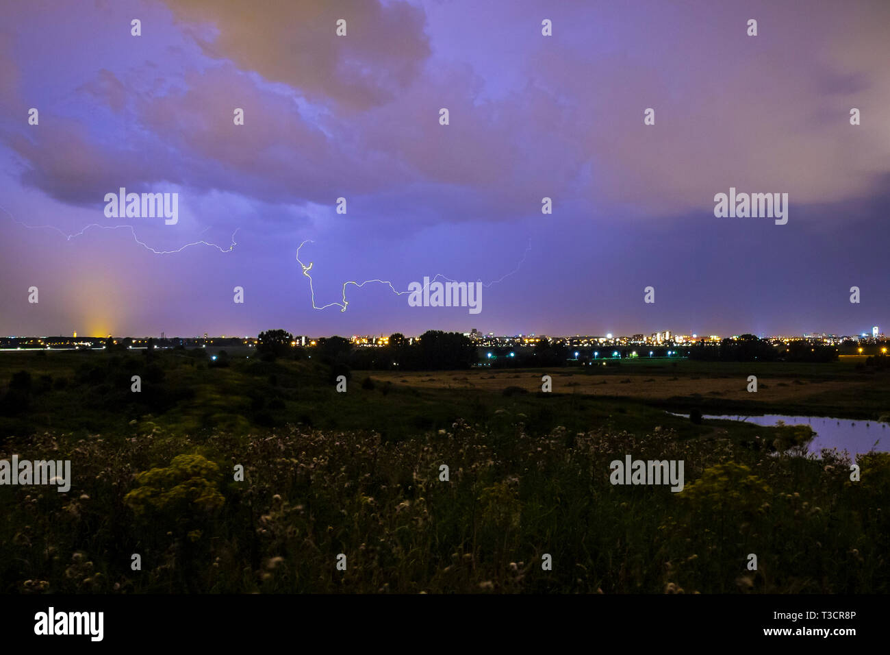 Intracloud blitz Thunderbolt IC Streiks bei Nacht über der Stadt. Dramatische cloudscape Gewitter, Hügel mit Blumen im Vordergrund, Stadt an der Stockfoto