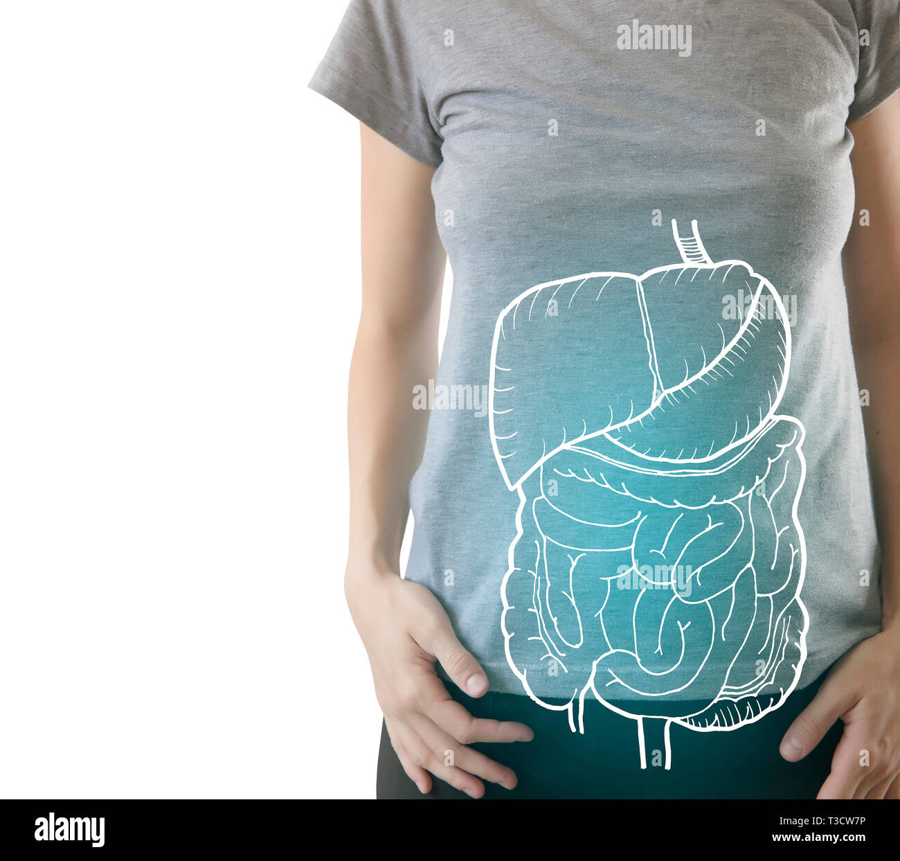 Blau inneren Organe der gesunden menschlichen organsim/Schutz vor Krankheiten hervorgehoben Stockfoto