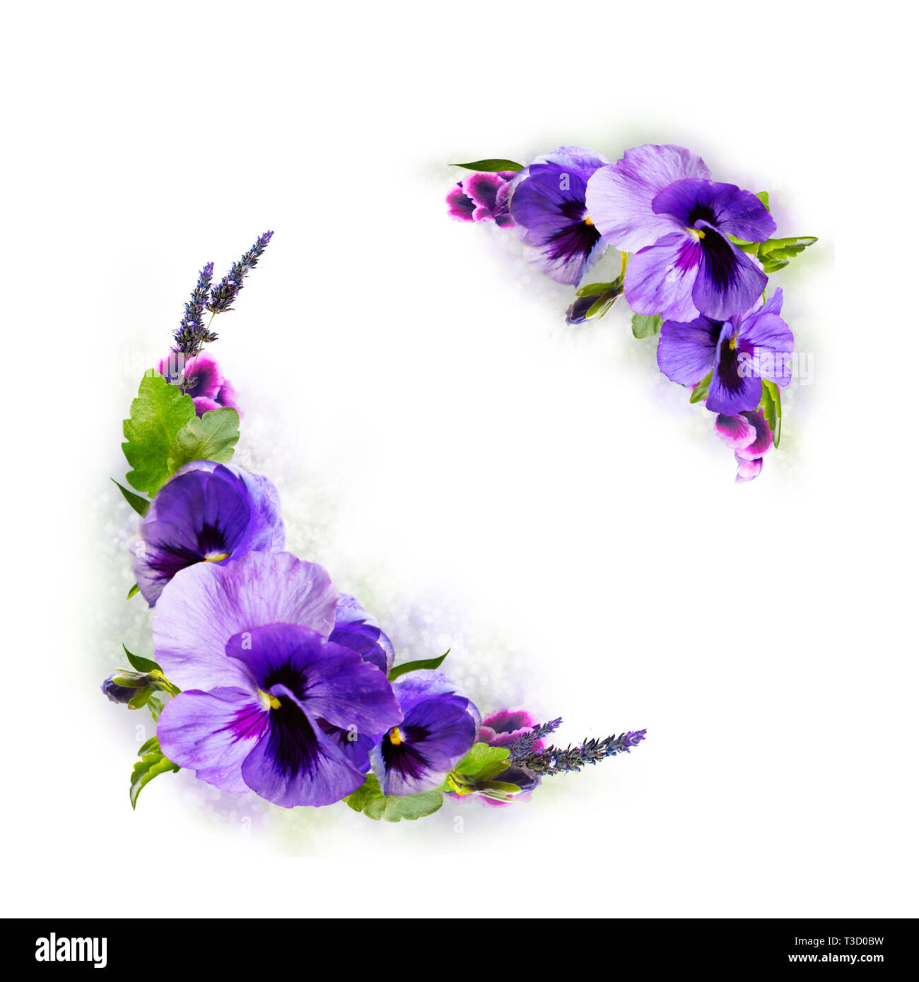 Blumenstrauß auf lila Hintergrund isoliert. Ornament mit Blumen und Eier für eine helle Ostern Urlaub. Postkarte, Vignette. Stockfoto