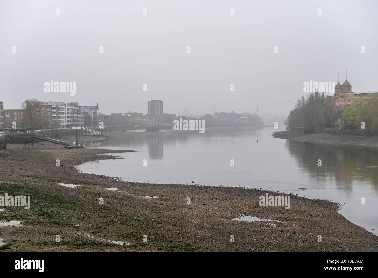 Nebeliger grimmiger Morgen bei Ebbe an der Themse in Hammersmith, London, Großbritannien. Craven Cottage in der Ferne, in Nebel gehüllt Stockfoto