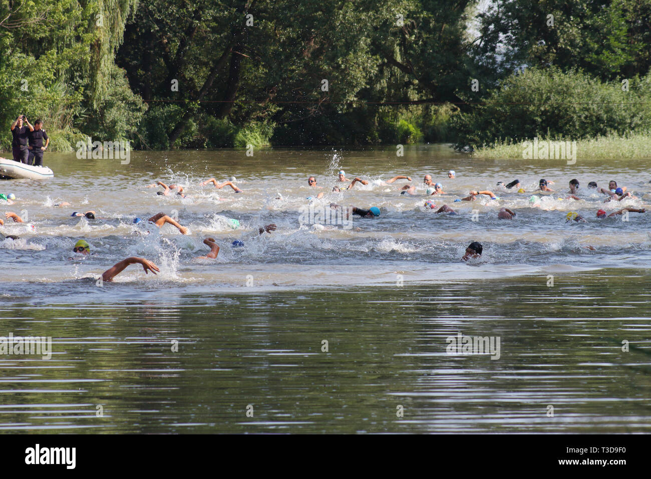 Gruppe von triathlonists Schwimmen im Fluss Mures während des nationalen Wettbewerbs Stockfoto