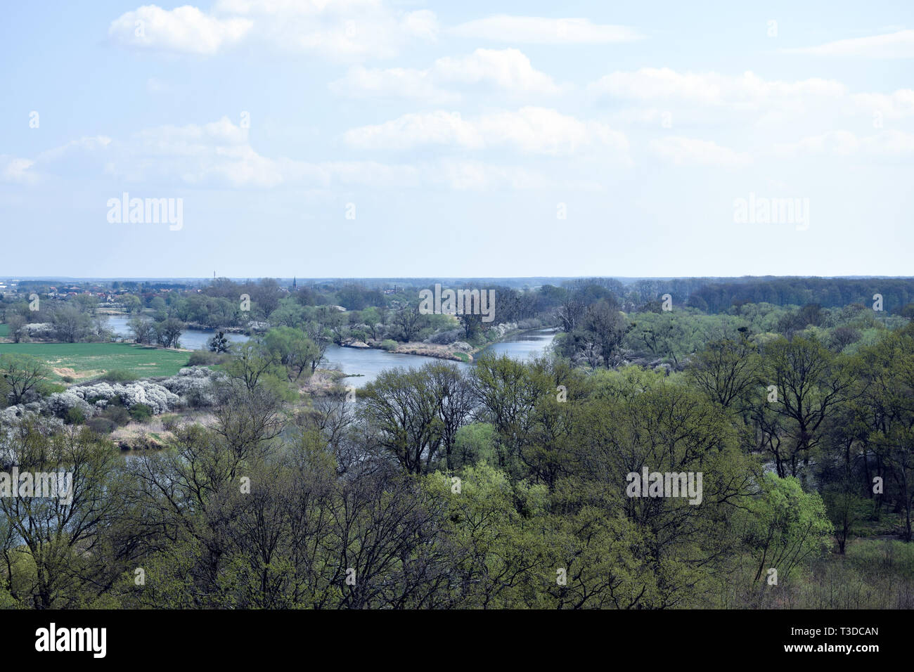 Luftaufnahme auf'Grady odrzanskie' - Odra River in der Nähe von Breslau. Natur Schutzgebiete "Natura 2000". Dolnoslaskie, Polen. Stockfoto