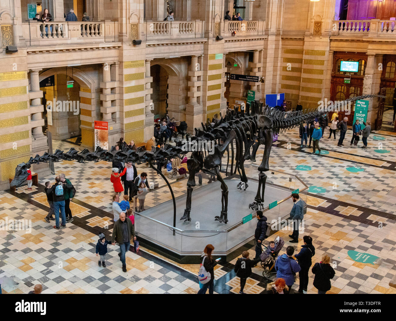 Die kultige Diplodocus Dinosaurier Dippy auf Tour in Kelingrove Museum und Kunstgalerie, Glasgow, Schottland Stockfoto