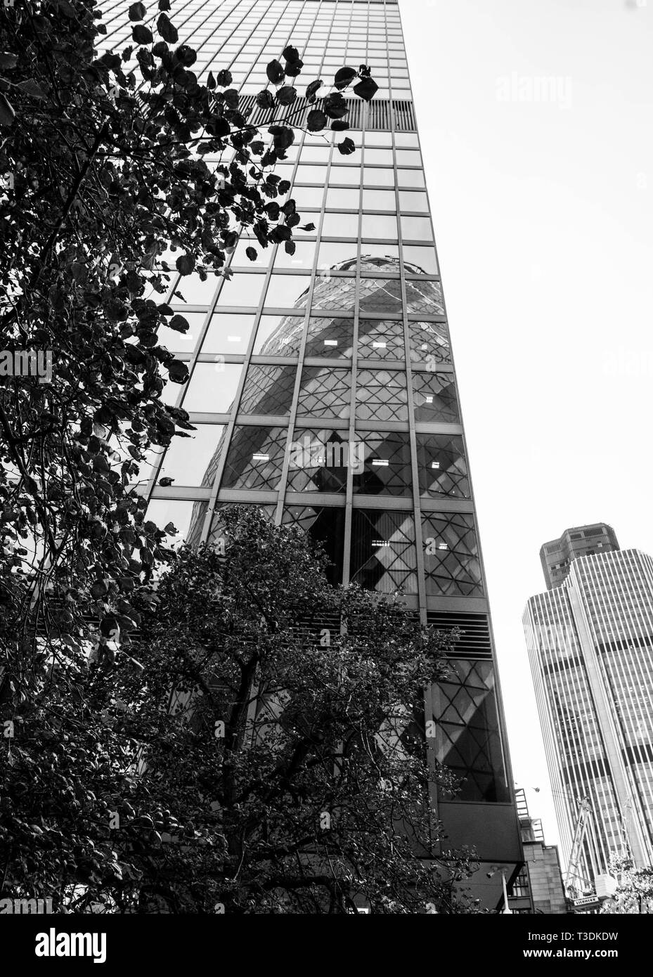 Die gerkin Gebäude im Londoner Finanzviertel Stockfoto