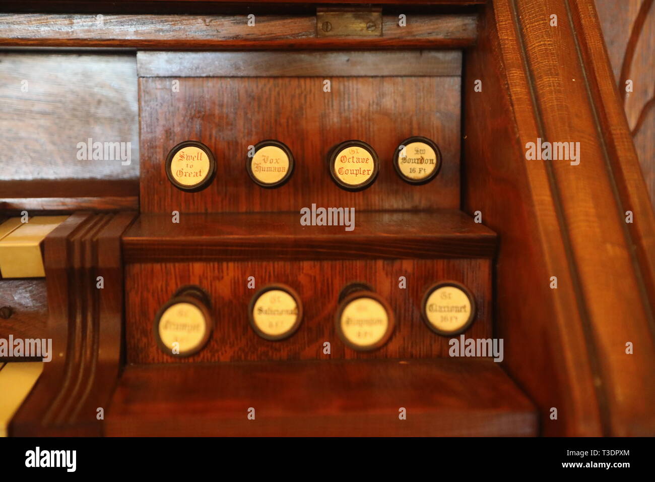 Orgel-Haltestellen Stockfoto