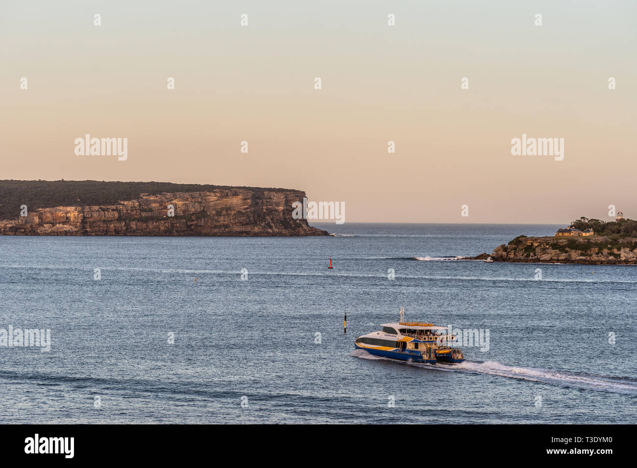 Sydney, Australien - 12. Februar 2019: North und South Head Klippen am Tor zwischen der Tasman Sea und Sydney Bucht bei Sonnenuntergang. Wolkenlosen blassen Himmel. Grau w Stockfoto