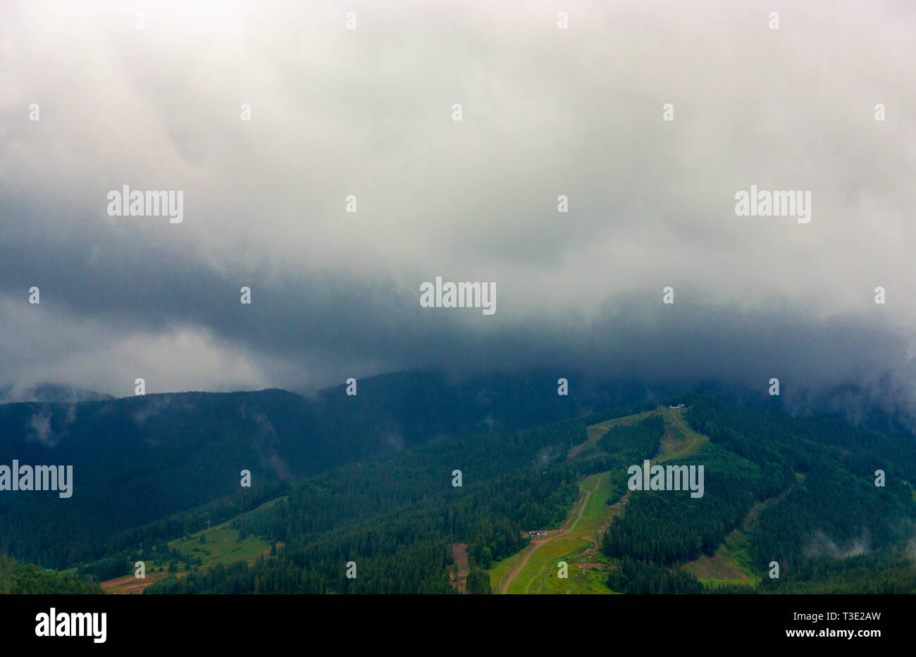 Schöne Karpaten Mountain Forest nach dem Regen Stockfoto