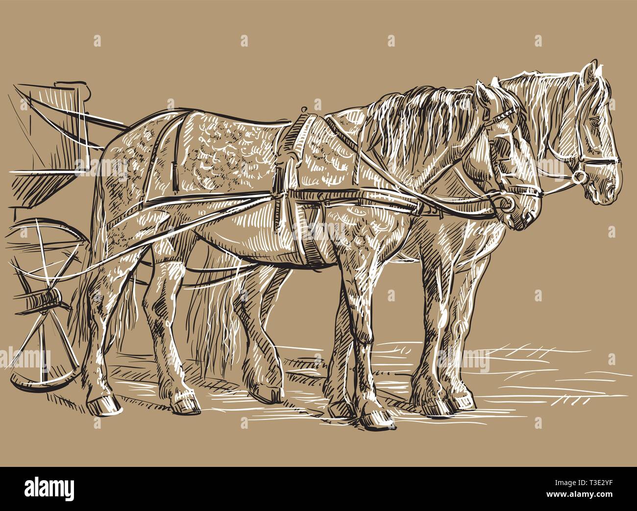 Vektor hand Zeichnung Abbildung zwei Pferde im Kabelbaum steht im Profil. Monochromen vector hand Zeichnung Skizze Abbildung in Schwarz und Weiß colo Stock Vektor