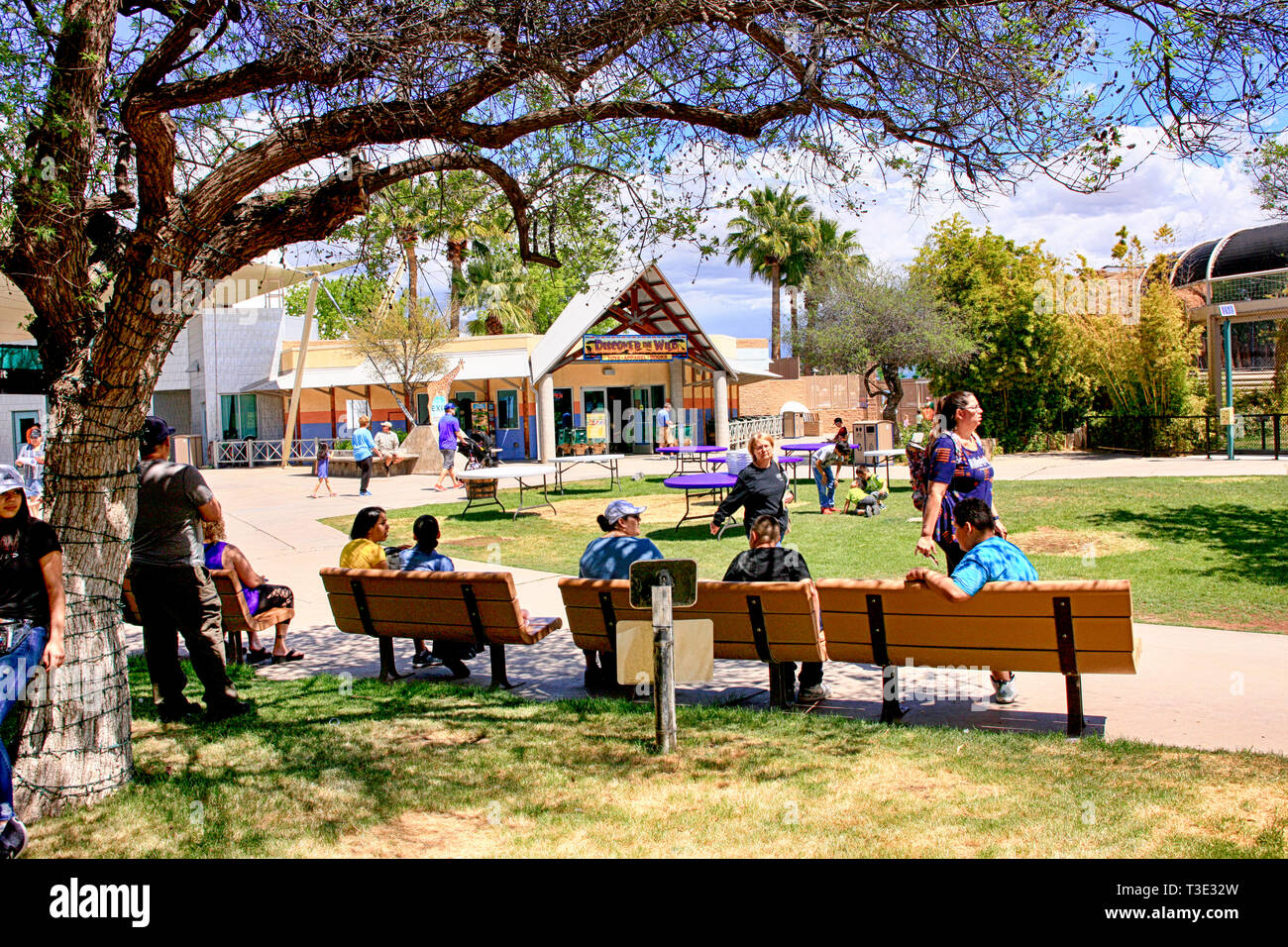 Personen innerhalb des Reid Park Zoo in Tucson Arizona Stockfoto