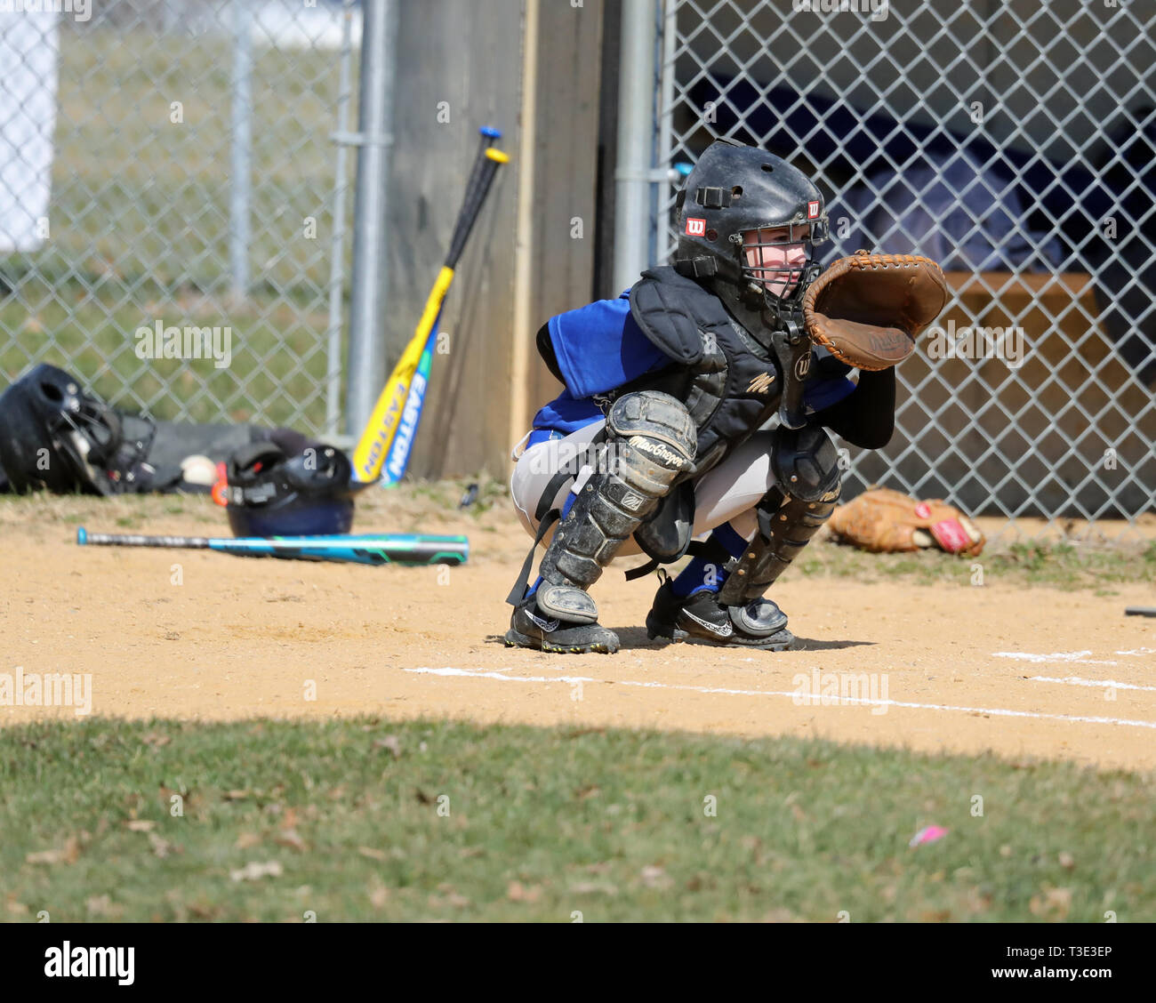 Baseball-Saison Stockfoto