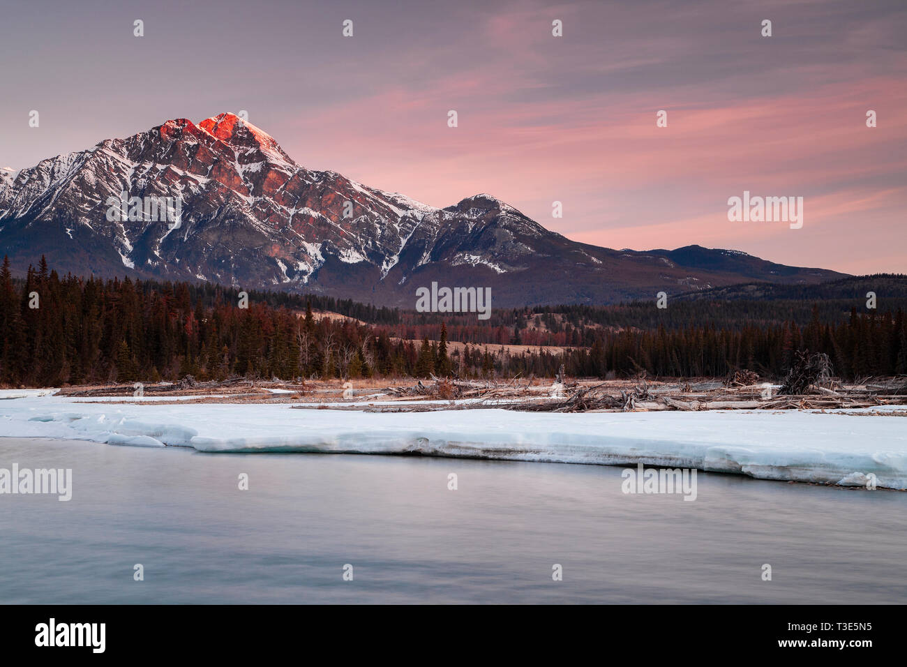 Pyramide Berg und Athabasca River bei Sonnenaufgang, Jasper National Park, Alberta, Kanada Stockfoto