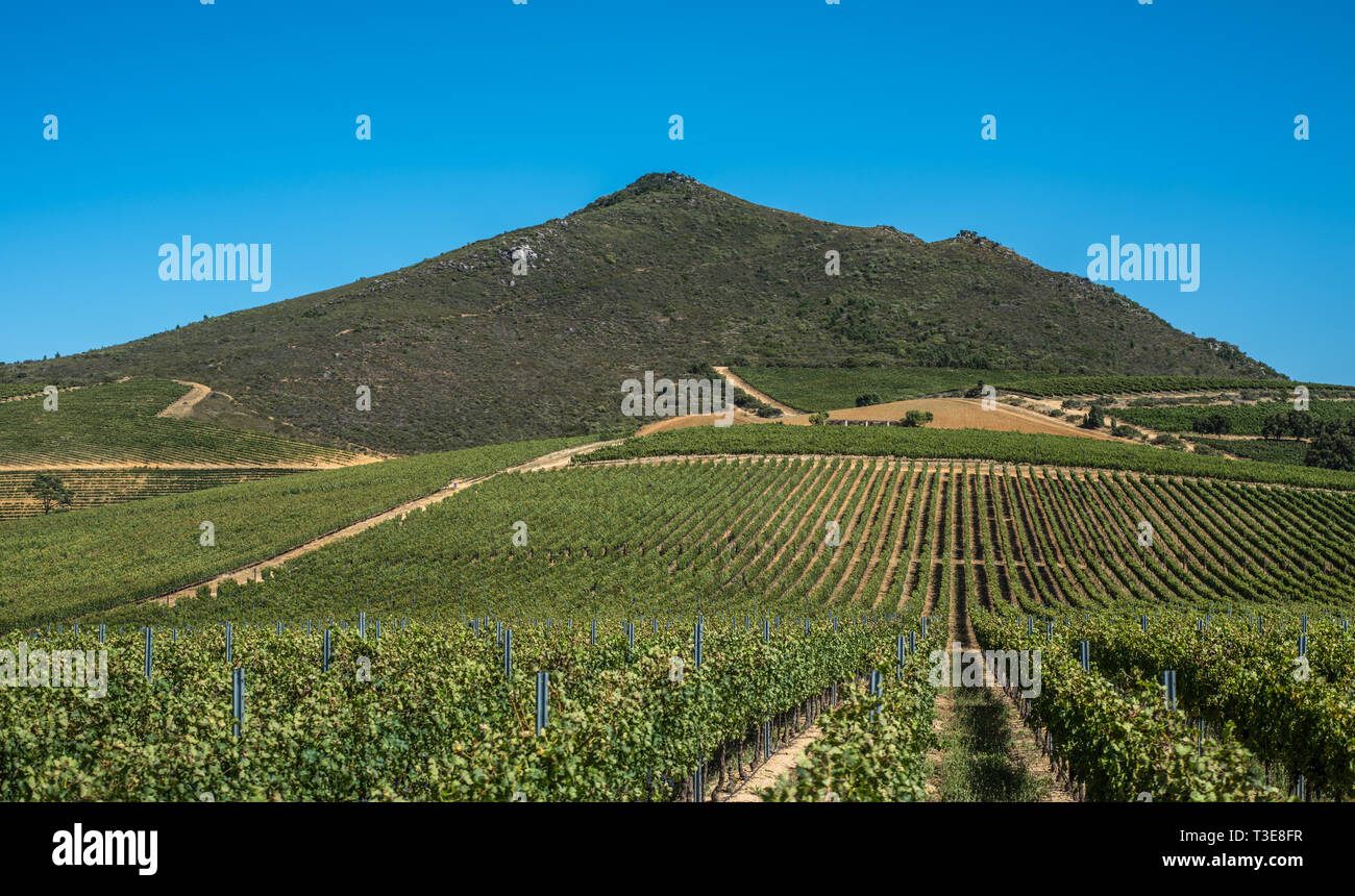 Die schöne Landschaft der Cape Winelands, Weinbaugebiet in Südafrika Stockfoto