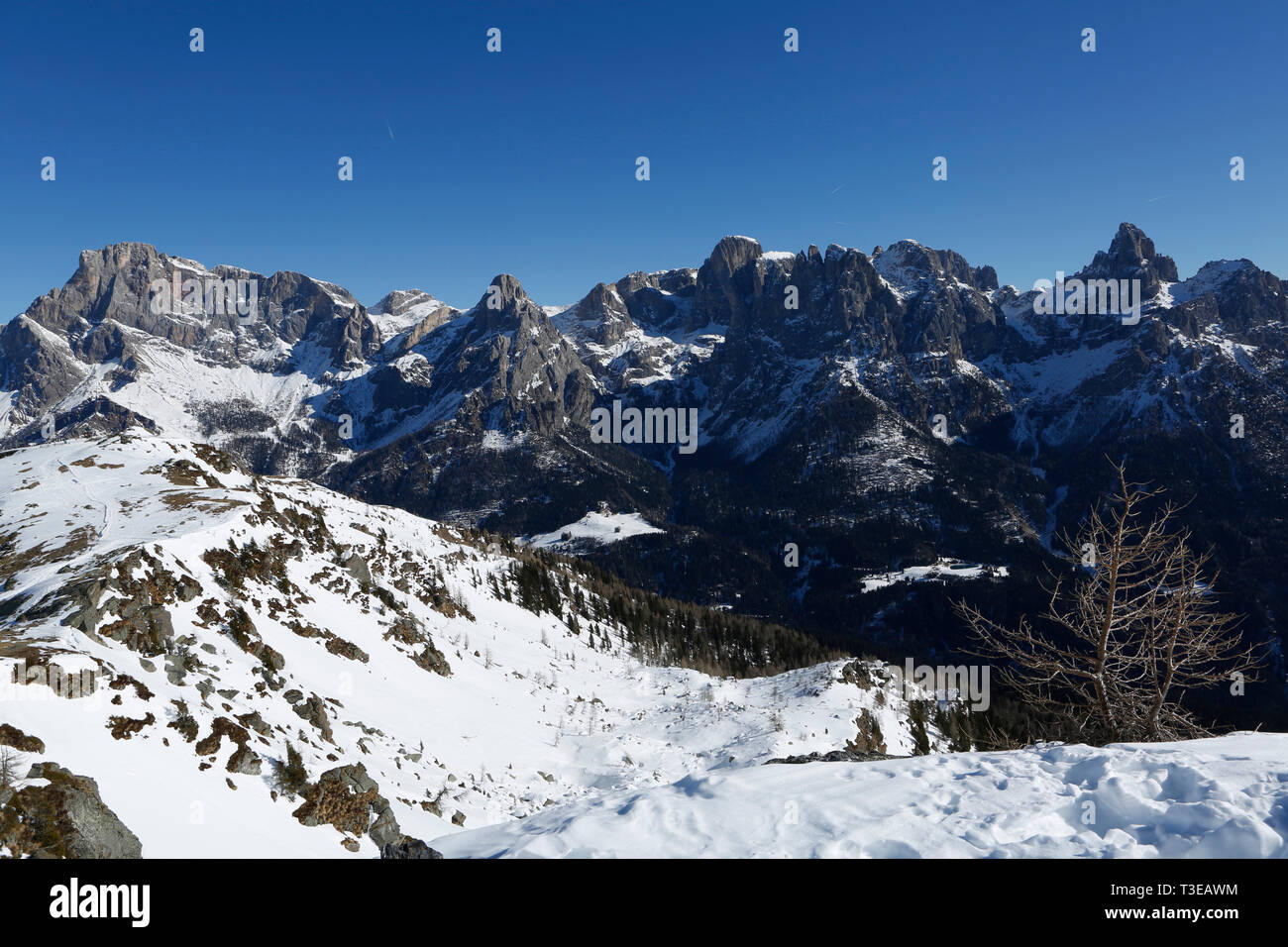 Landschaft, Gruppo Pale di San Martino, Trentino, Italien, Europa Stockfoto