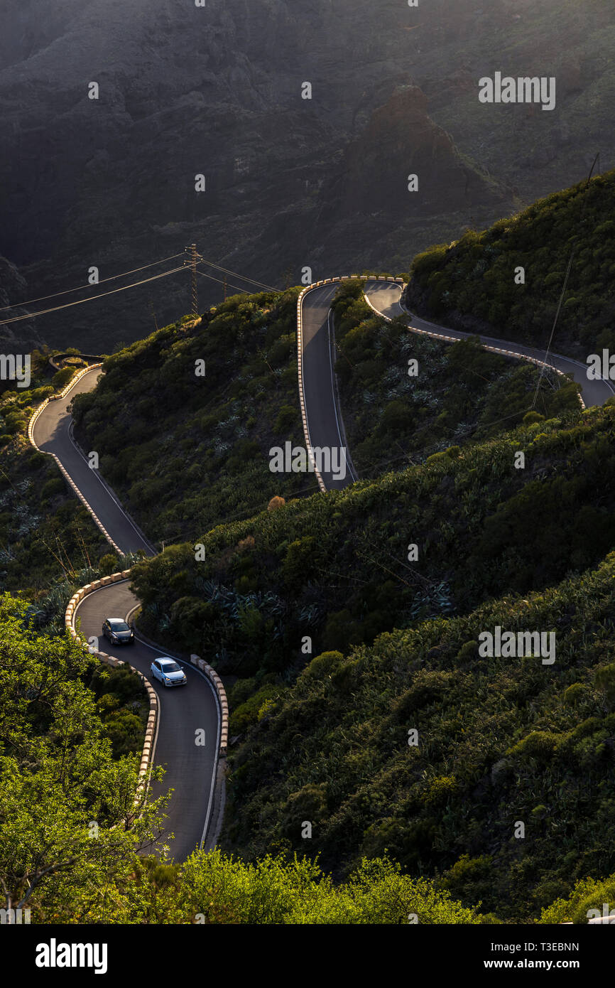 Mit Blick auf die Verdrehung windige Straße durch die Masca Schlucht von der Degollada del Cherfe, Masca, Teneriffa, Kanarische Inseln, Spanien Stockfoto