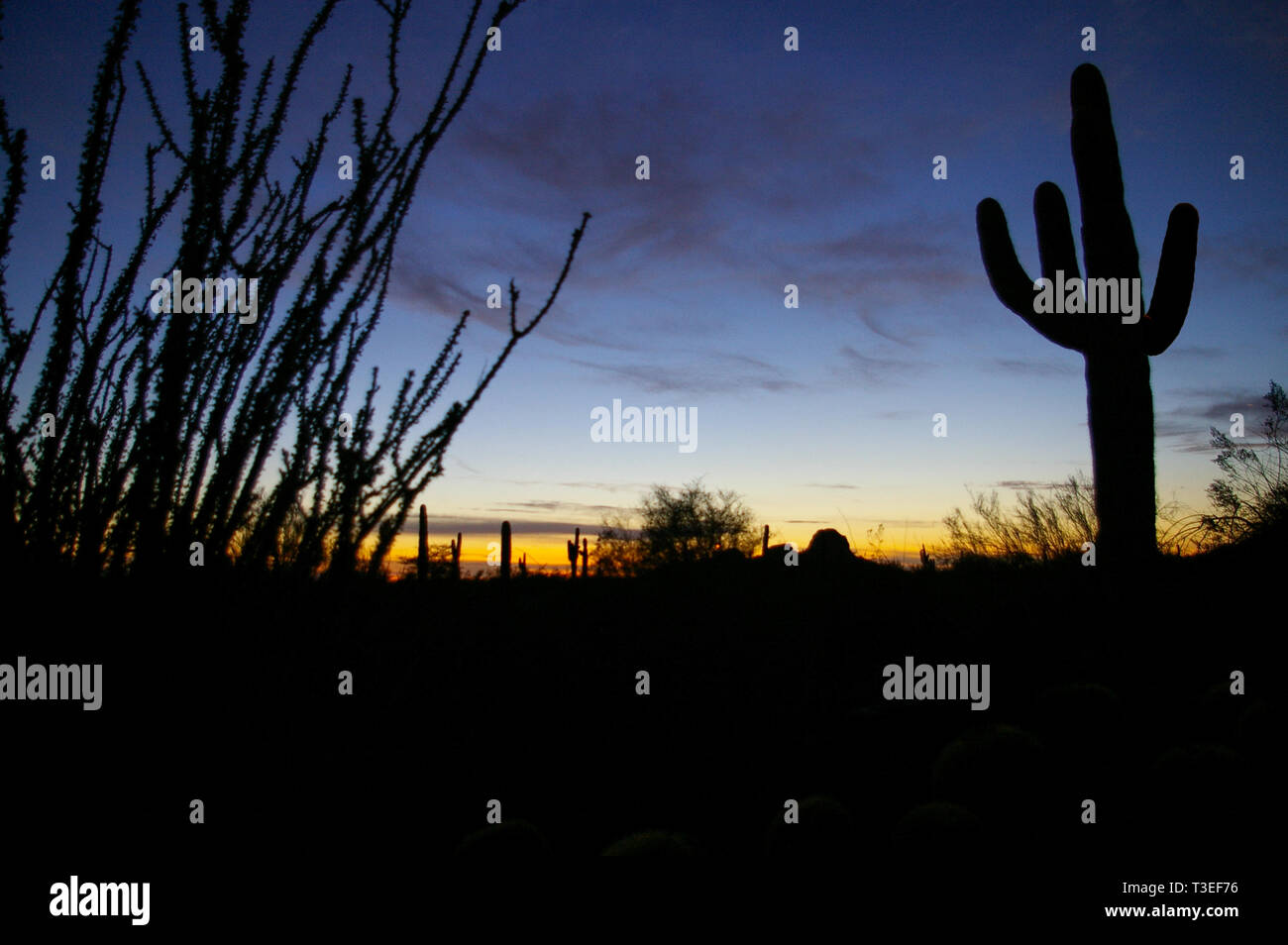 Wüste Sonnenuntergang Stockfoto