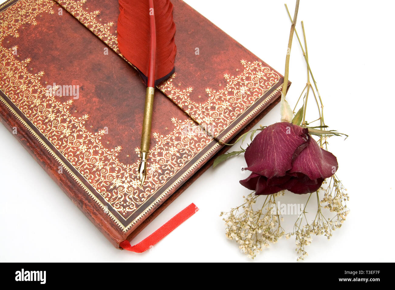 Antike Rotes Buch mit Roten Feder Füllhalter und Getrocknete Rosen Stockfoto