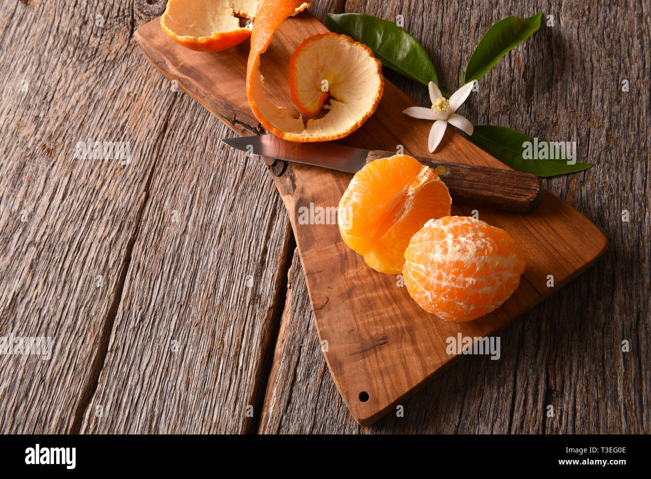 Nahaufnahme eines frisch geschälten Minneola Tangelo auf einem Schneidebrett mit Messer und Orangenblüten. Stockfoto