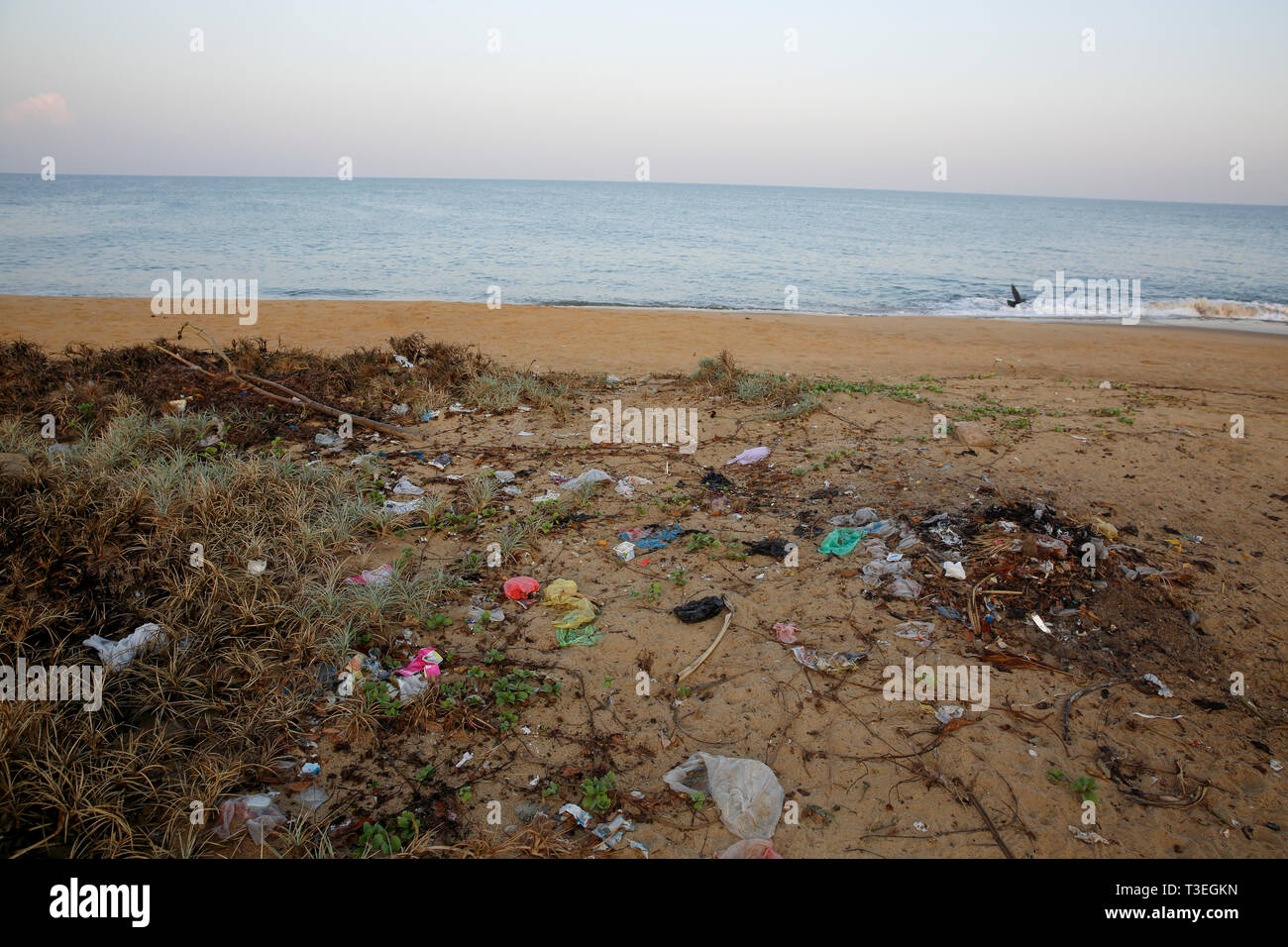 Kunststoff Umweltverschmutzung auf den Strand von lakkadiven Meer. Chilaw, Sri Lanka Stockfoto