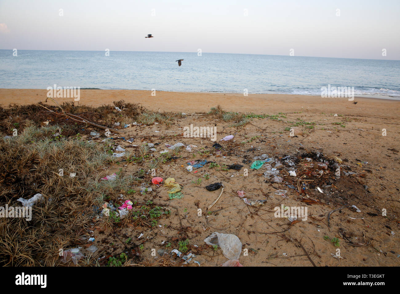 Kunststoff Umweltverschmutzung auf den Strand von lakkadiven Meer. Chilaw, Sri Lanka Stockfoto