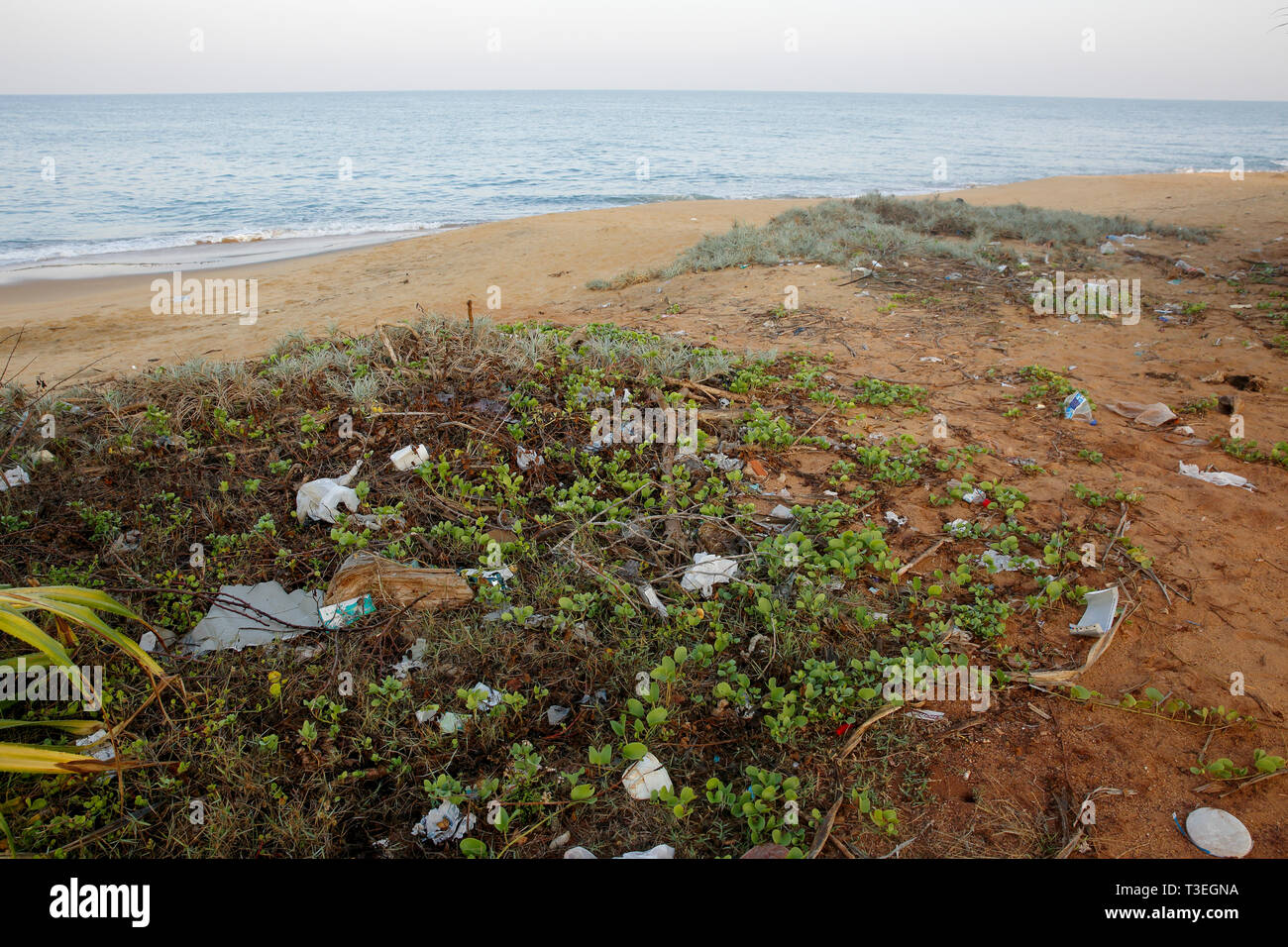 Kunststoff Umweltverschmutzung auf den Strand von lakkadiven Meer. Chilaw, Sri Lanka Stockfoto