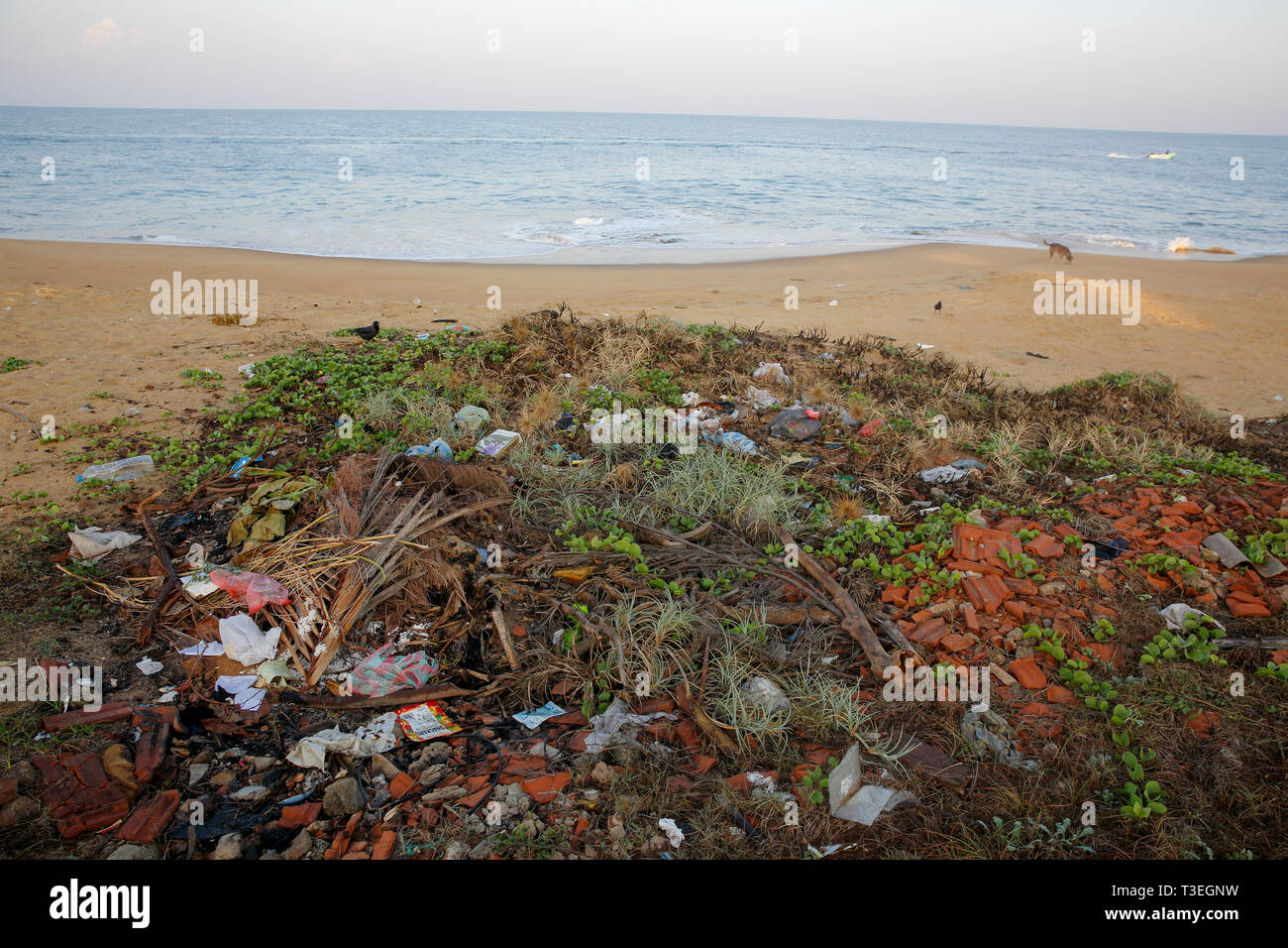 Kunststoff Umweltverschmutzung auf den Strand von lakkadiven Meer. Chilaw, Sri Lanka Stockfoto