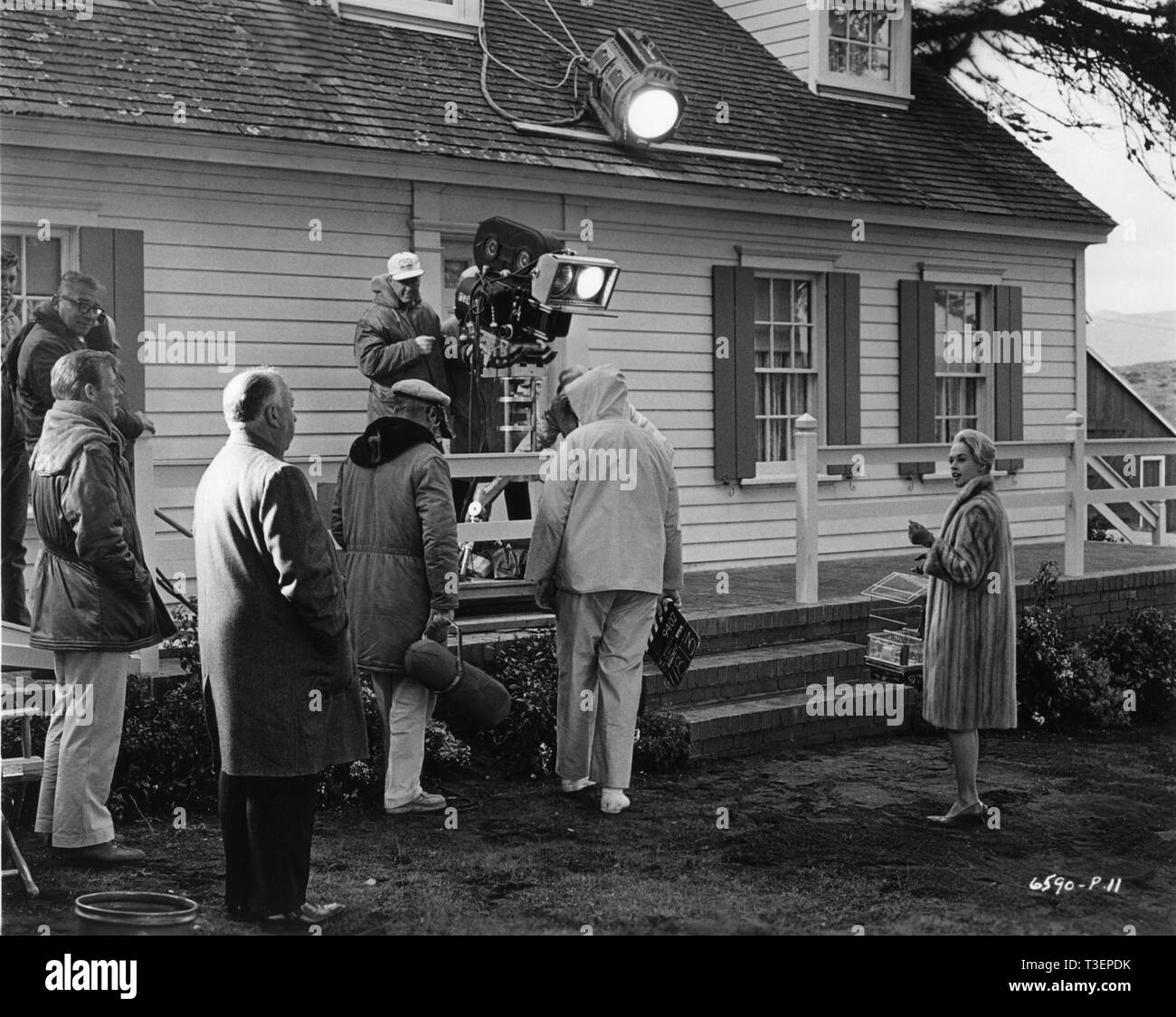 Alfred Hitchcock und Tippi Hedren DIE VÖGEL 1963 am Set Filmaufnahmen Produktionsaufnahme Alfred J. Hitchcock Produktionen/Universal Pictures Stockfoto