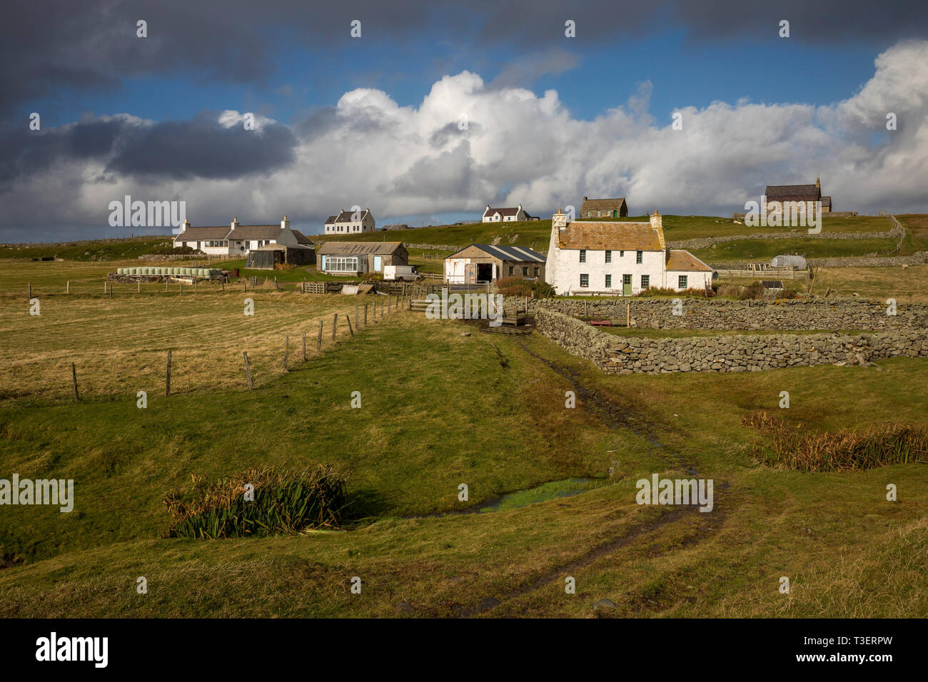 Fair Isle, Shetland, Großbritannien Stockfoto