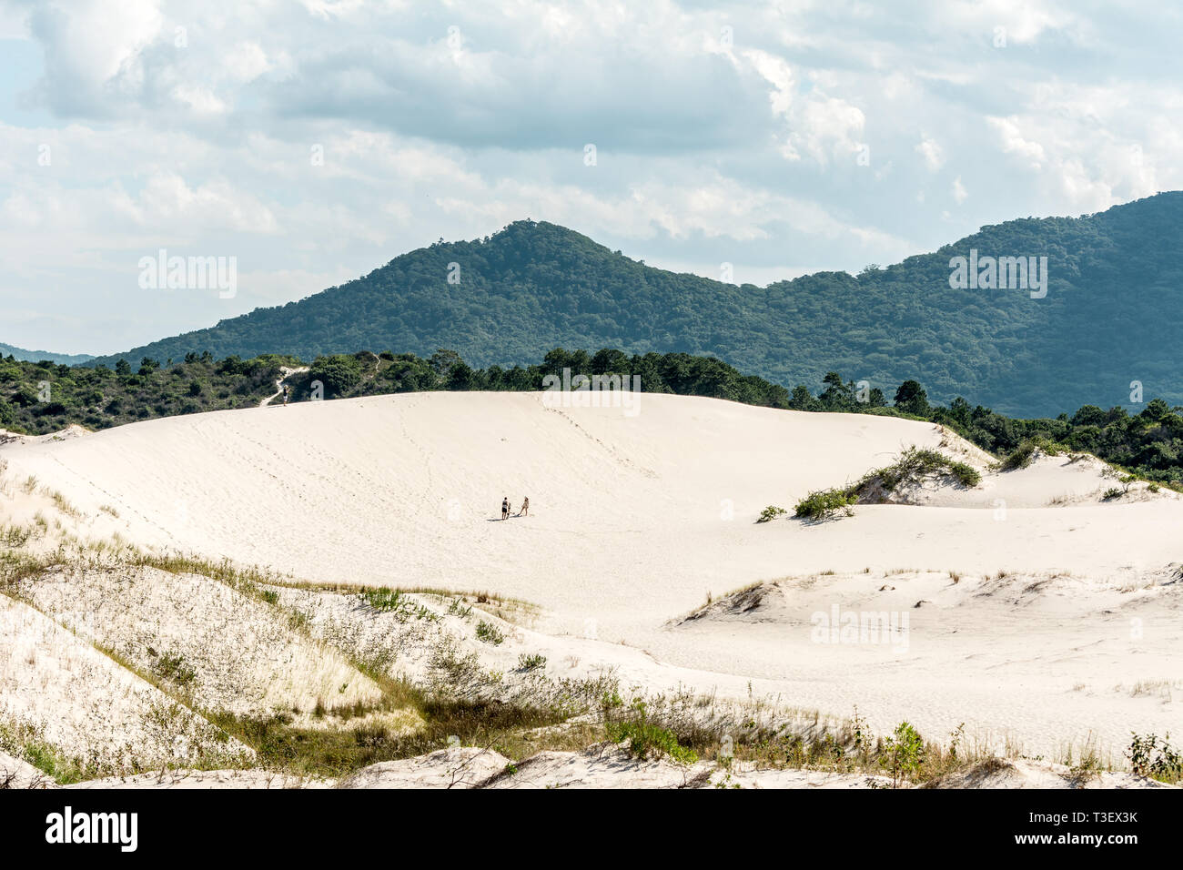 2019, Januar. Florianopolis, Brasilien. Ein Mann und eine Frau auf einem sand Berg auf einem Dünengebiet in Joaquina Strand. Stockfoto